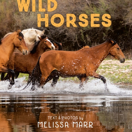 Wild Horses