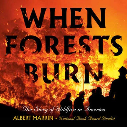 When Forests Burn