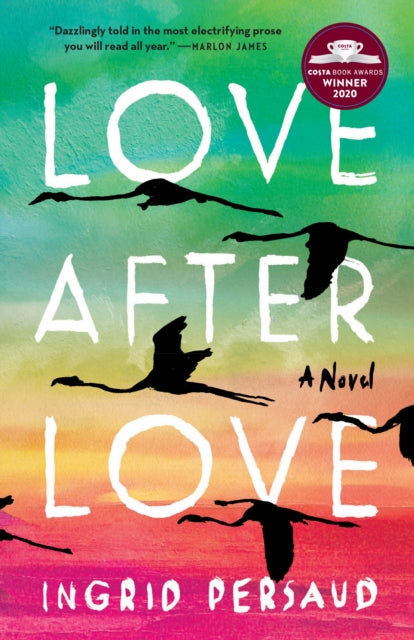 Love After Love: A Novel