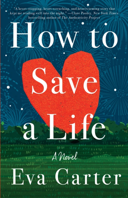 How to Save a Life: A Novel