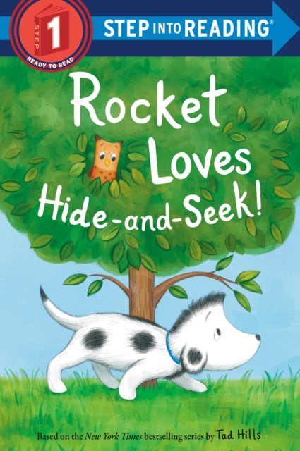 Rocket Loves Hide-and-Seek!