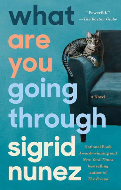 What Are You Going Through: A Novel