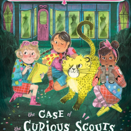 The Case of the Curious Scouts