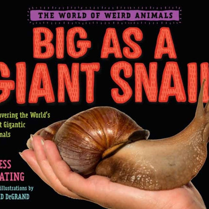 Big as a Giant Snail