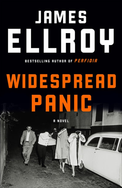 Widespread Panic: A novel