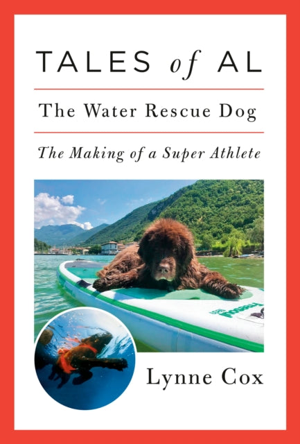 Tales of Al: The Water Rescue Dog