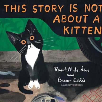 This Story Is Not About a Kitten