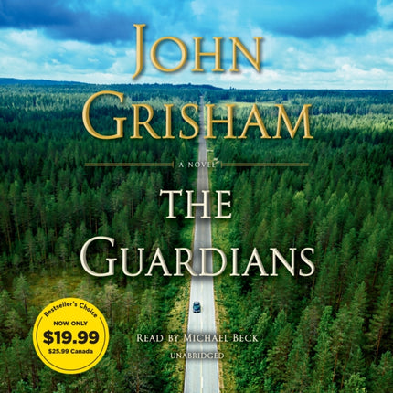 The Guardians: A Novel