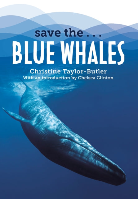 Save the...Blue Whales