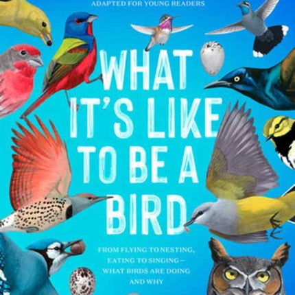 What It's Like to Be a Bird (Adapted for Young Readers): From Flying to Nesting, Eating to Singing--What Birds Are Doing and Why