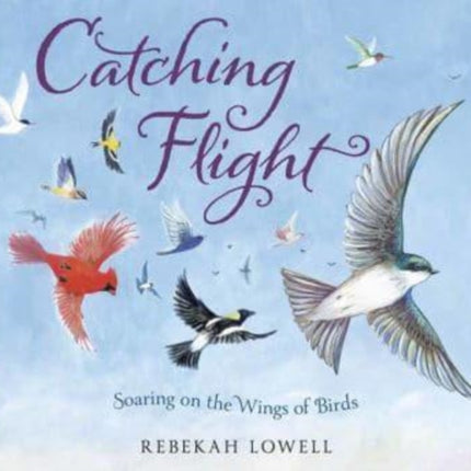 Catching Flight: Soaring on the Wings of Birds