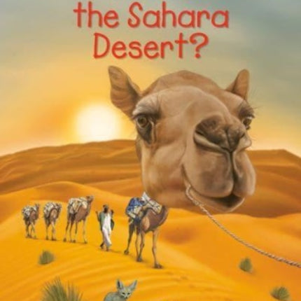 Where Is the Sahara Desert?