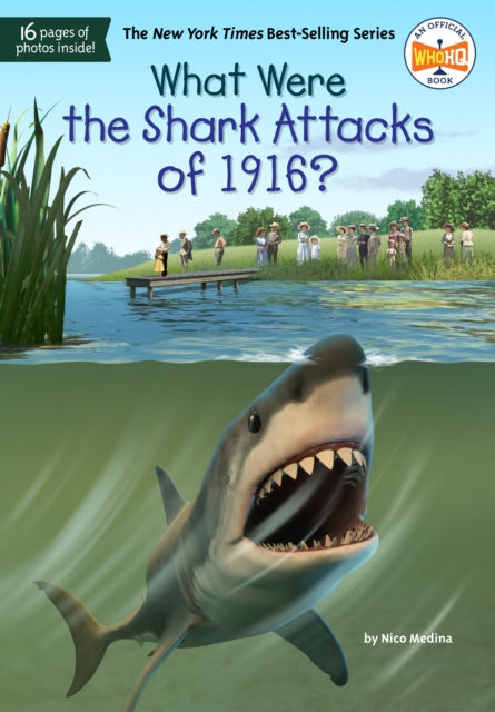 What Were the Shark Attacks of 1916