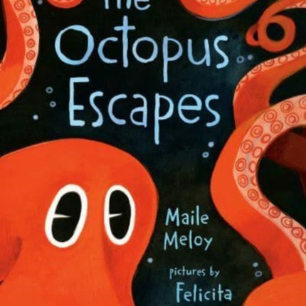 The Octopus Escapes