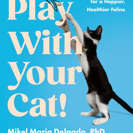 Play With Your Cat