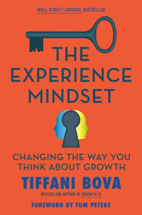 The Experience Mindset: Changing the Way You Think About Growth