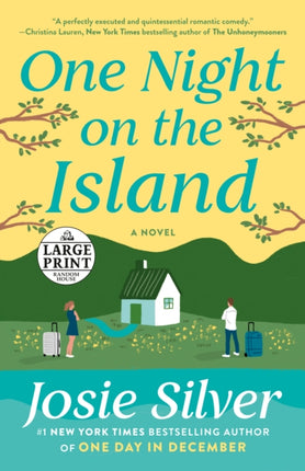 One Night on the Island: A Novel