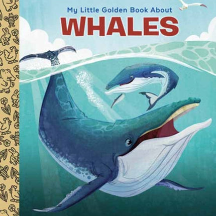 My Little Golden Book About Whales