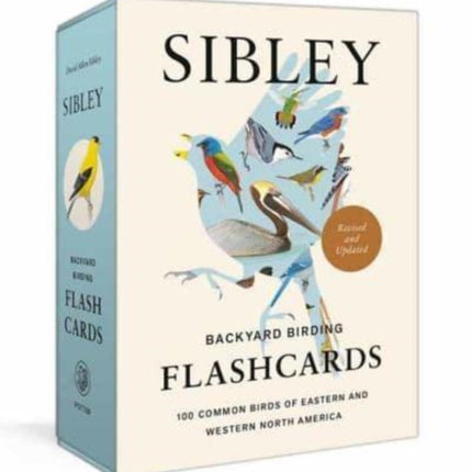 Sibley Backyard Birding Flashcards, Revised and Updated: 100 Common Birds of Eastern and Western North America