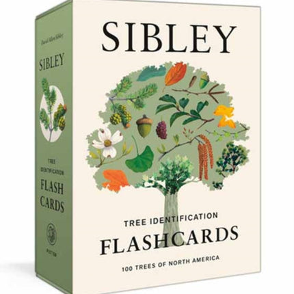 Sibley Tree Identification Flashcards: 100 Trees of North America