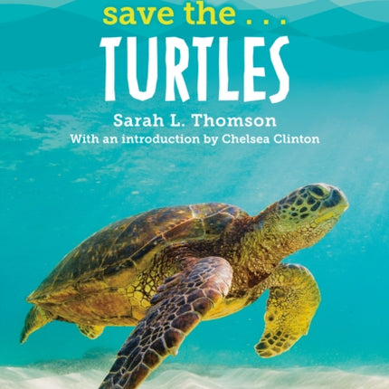 Save The...Turtles