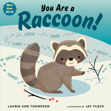 You Are a Raccoon