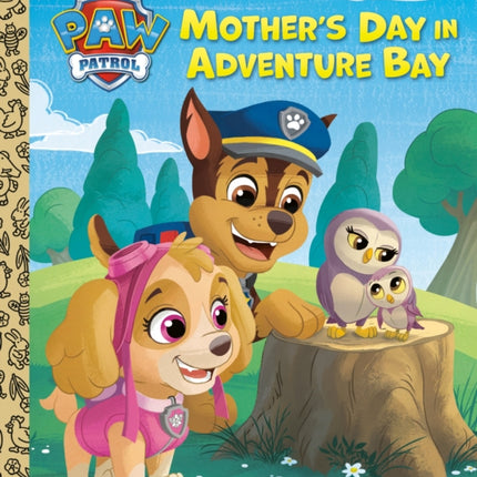 Mothers Day in Adventure Bay Paw Patrol