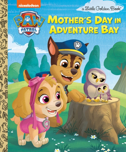 Mothers Day in Adventure Bay Paw Patrol