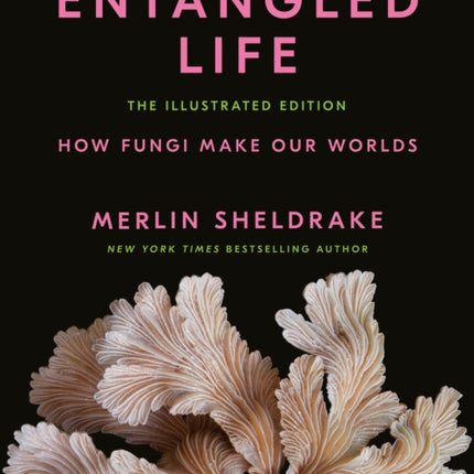 Entangled Life: The Illustrated Edition: How Fungi Make Our Worlds