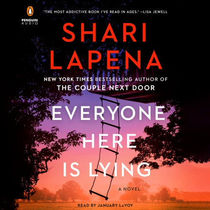 Everyone Here Is Lying: A Novel