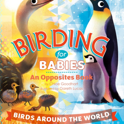 Birding for Babies Birds Around the World