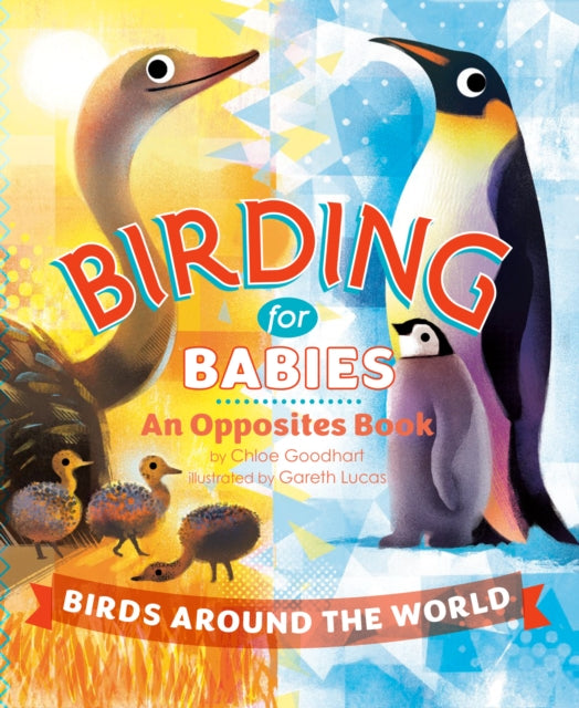 Birding for Babies Birds Around the World