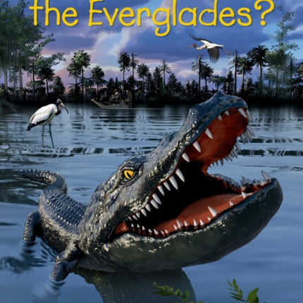 Where Are the Everglades