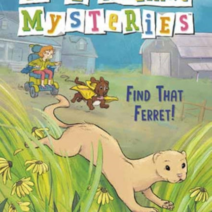 Find That Ferret