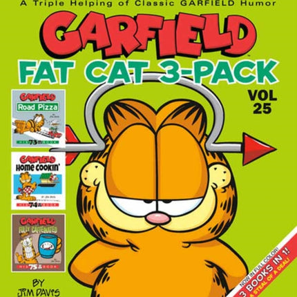 Garfield Fat Cat 3Pack 25