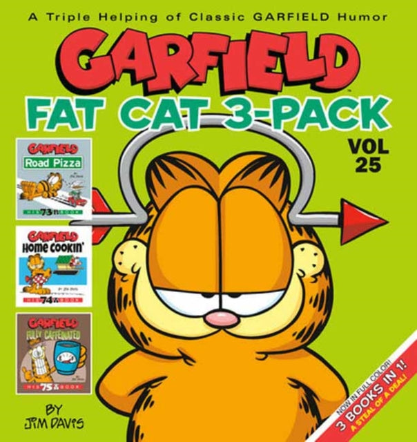Garfield Fat Cat 3Pack 25