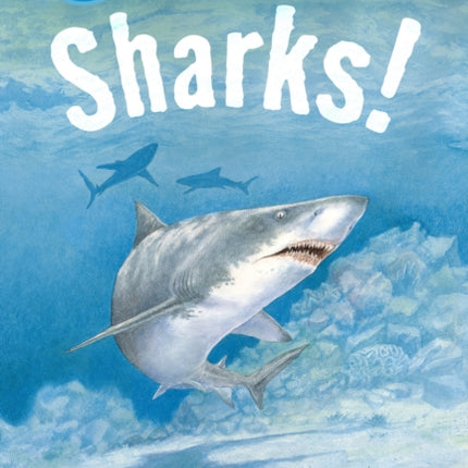 Sharks