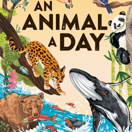 An Animal a Day