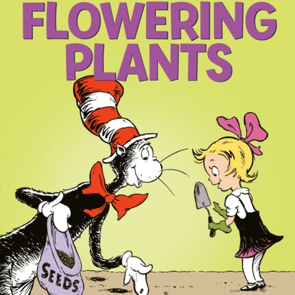 Oh Say Can You Seed All About Flowering Plants