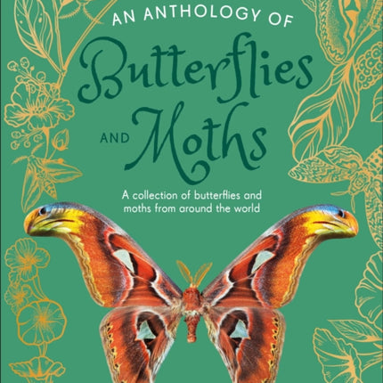 An Anthology of Butterflies and Moths