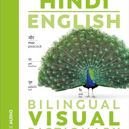 Hindi  English Bilingual Visual Dictionary