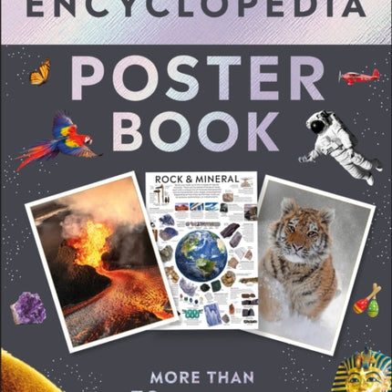 Eyewitness Encyclopedia Poster Book