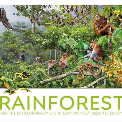 Rainforest