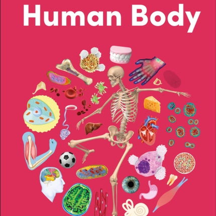 Eyewonder Human Body