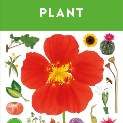 Eyewitness Plant