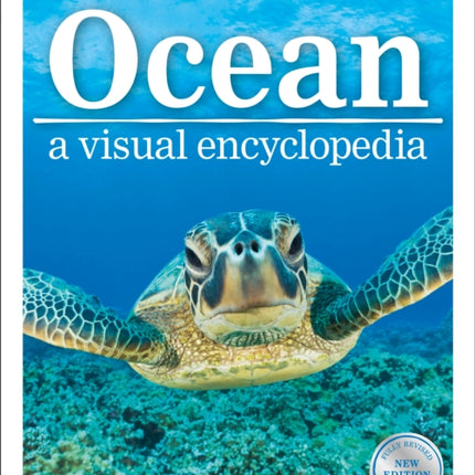 Ocean