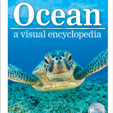 Ocean