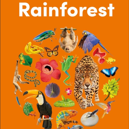 Eyewonder Rainforest