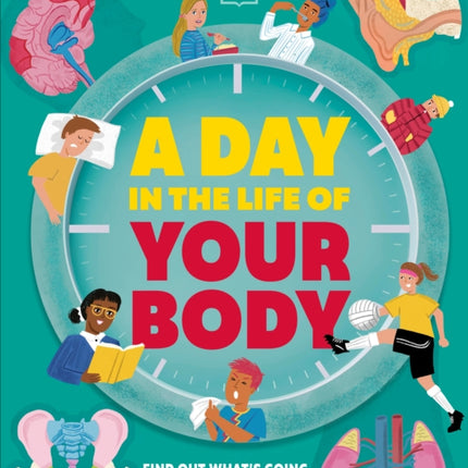 A Day in the Life of Your Body