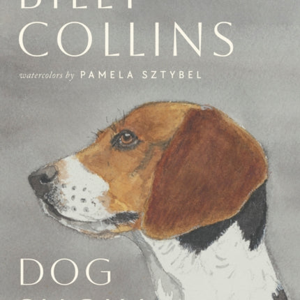 Dog Show